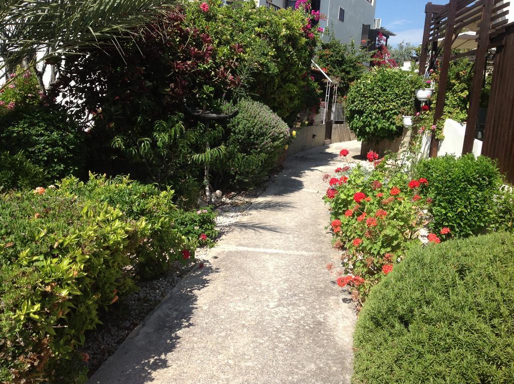 Вилла Paphos Townhouse Экстерьер фото